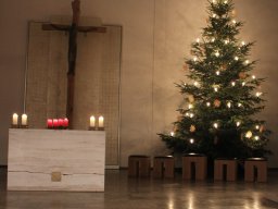Altarraum mit Weihnachtsbaum
